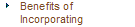 Benefits of Incorporating